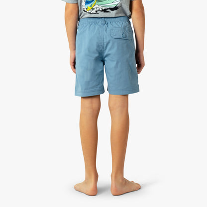 Kids Youth Landlocked Shorts - AFTCO