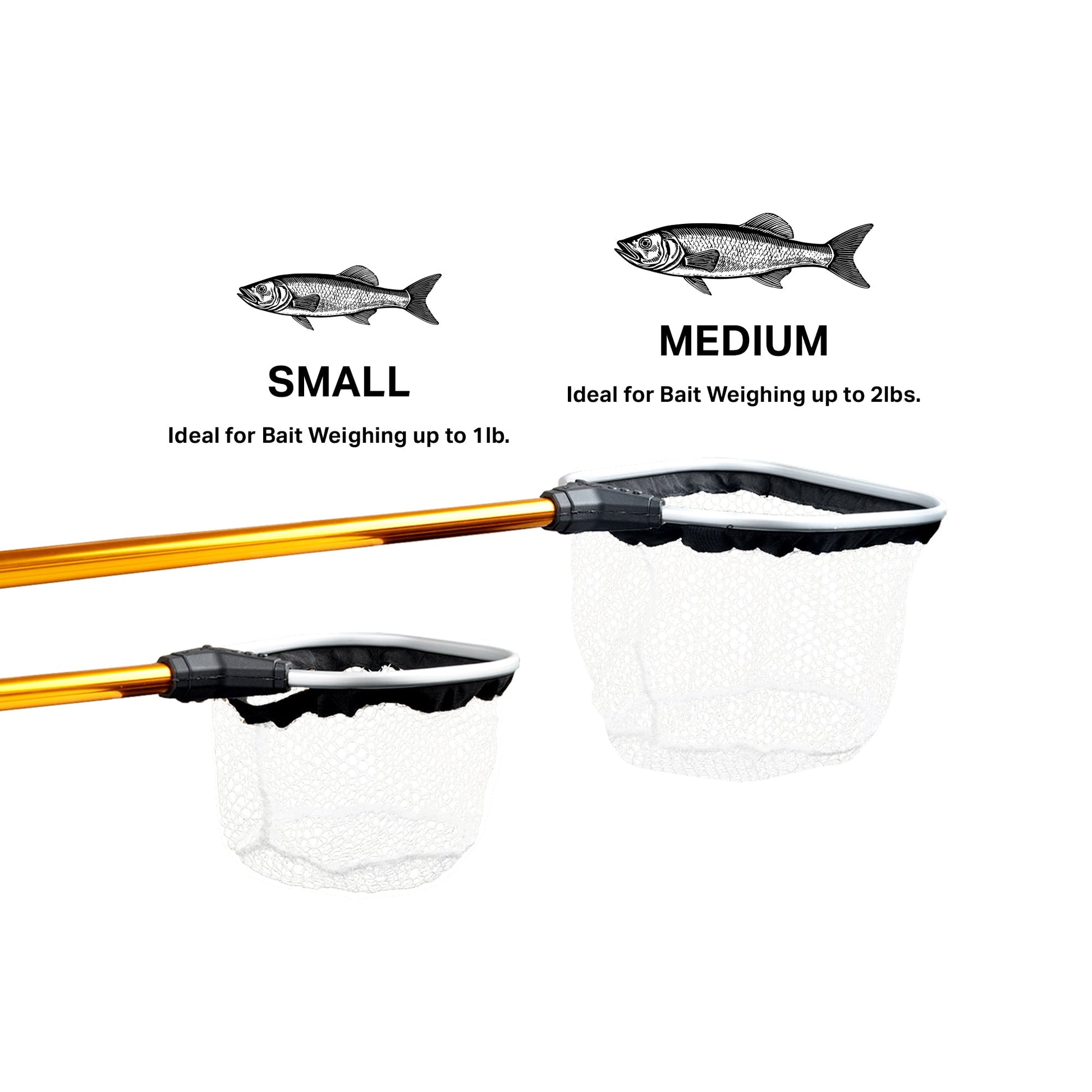 Tackle & Gear Gold Series Bait Nets - AFTCO - AFTCO