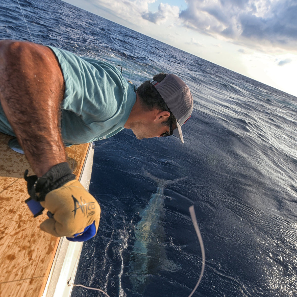 Tackle & Gear|Mens Wire Max Salt Water Fishing Glove - AFTCO